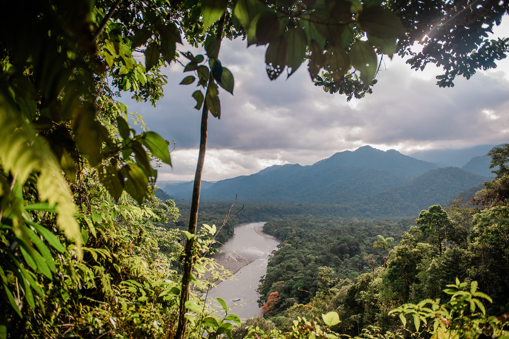 Amazon Rainforest ecuador